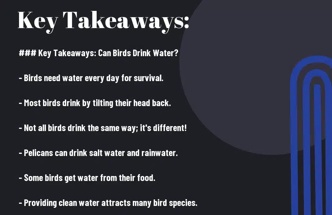 birds drink